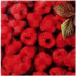 Декор Атем Orly Raspberry 20x20 