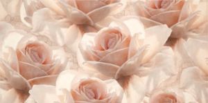 Декор Opoczno Royal Garden Flower 29,7х60 см