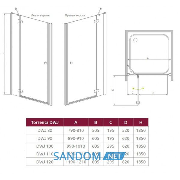 Душові двері Radaway Torrenta DWJ 80