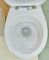 Унитаз подвесной Kolo Idol M1310002U с сидением дюропласт soft close