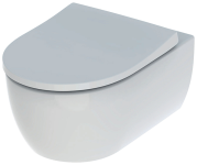 Подвесной унитаз Geberit iCon Rimfree с крышкой микролифт 500.784.01.1