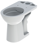 Чаша унитаза Geberit Selnova Comfort Rimfree 500.486.01.1