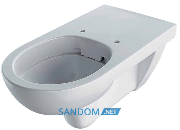 Підвісний унітаз Geberit Selnova Comfort Rimfree 500.262.01.1