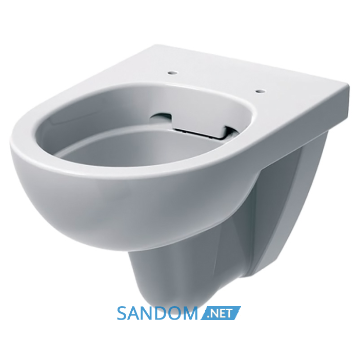 Підвісний унітаз Geberit Selnova Rimfree 500.265.01.1