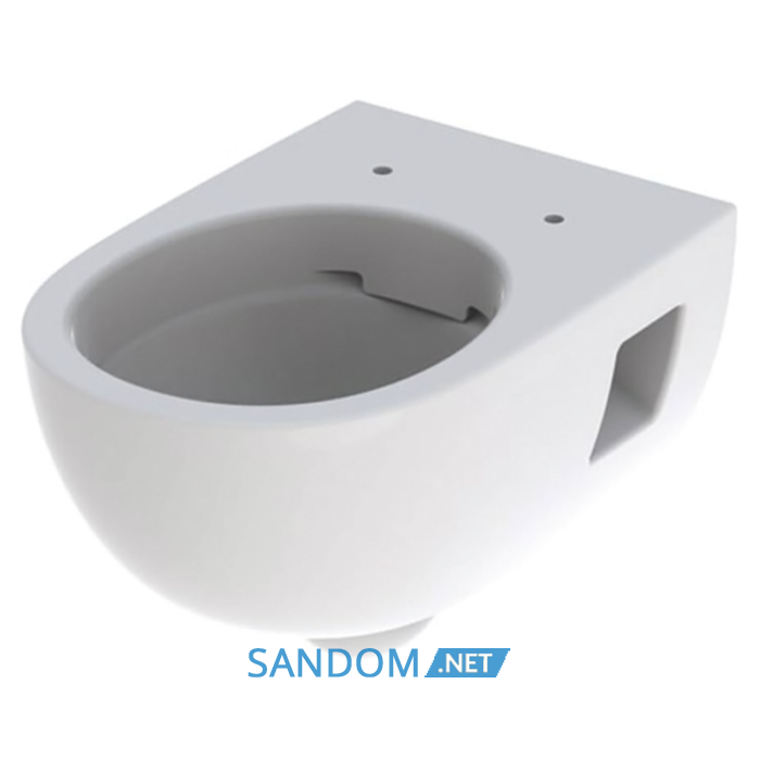 Подвесной унитаз Geberit Selnova Rimfree 501.545.01.1