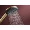 RAINDANCE ALIVE SELECT S ручний душ (3 типи струменів RainAir, PowderRain, Massage), шліфованна бронза