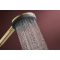 RAINDANCE ALIVE SELECT S ручний душ (3 типи струменів RainAir, PowderRain, Massage), шліфованна бронза
