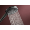 RAINDANCE ALIVE SELECT S ручний душ (3 типа струи RainAir, PowderRain, Massage), шліфованний чорний хром