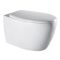SAFIR Rimless унітаз підвісний 52*36*35см, сидіння Duroplast Slim slow-closing