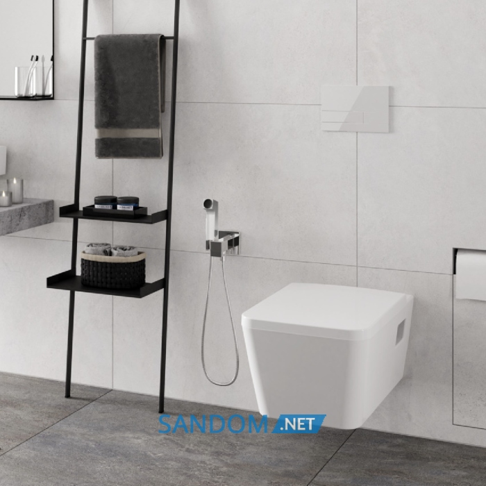 HANSGROHE E гігієнічний душ  1jet EcoSmart, зі шлангом 1,25 м та тримачем, хром