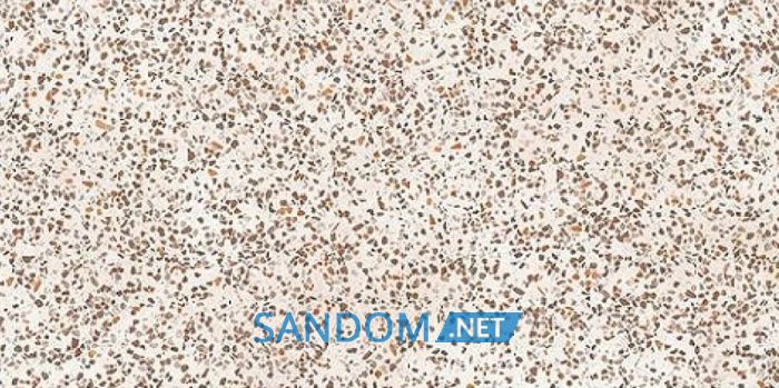 Плитка Golden Tile Oasis Concrete Terazzo айвори 120x60